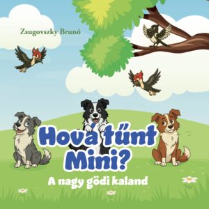 Hová tűnt mini?
